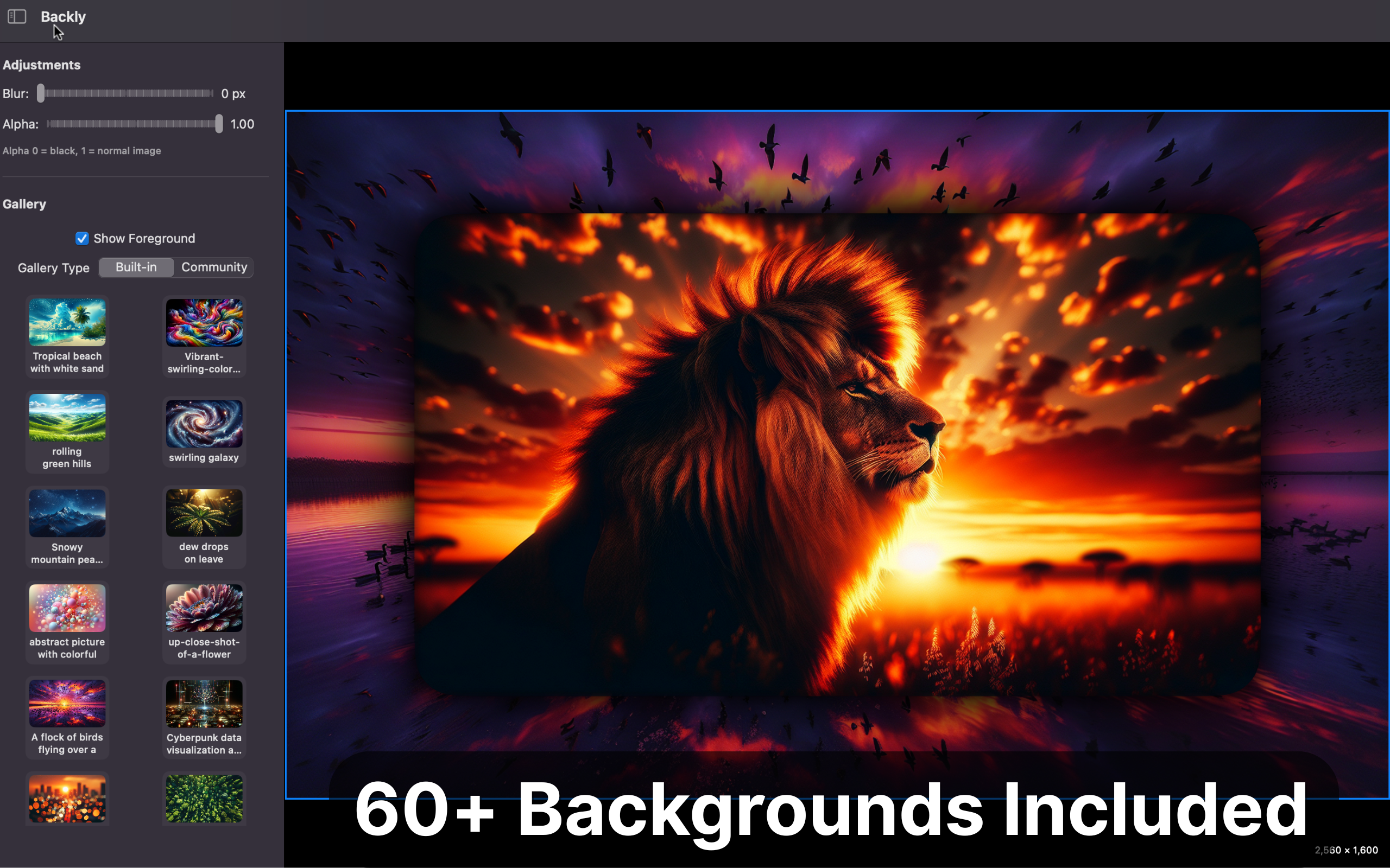 App Screenshot - Backgrounds
