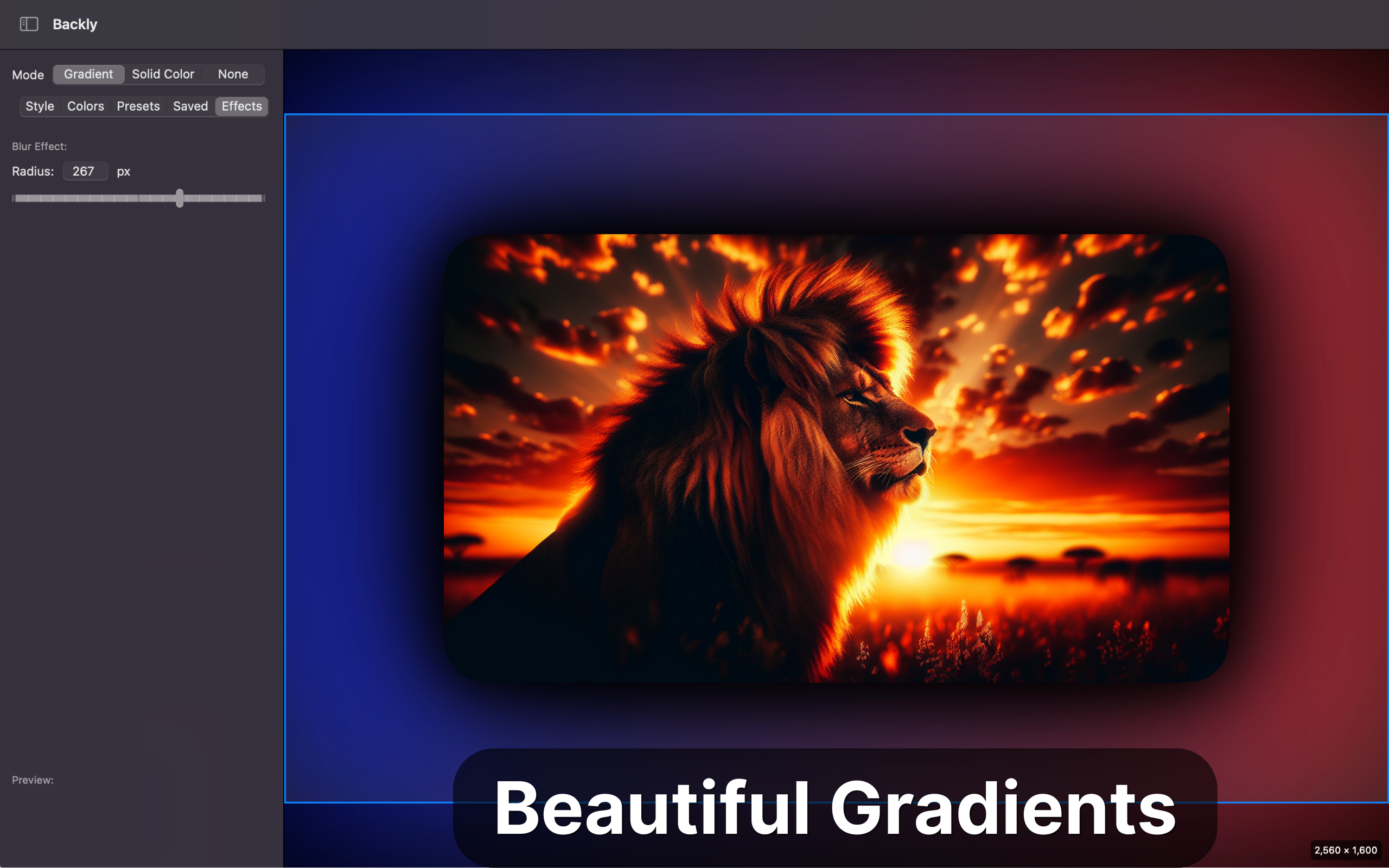 App Screenshot - Gradients