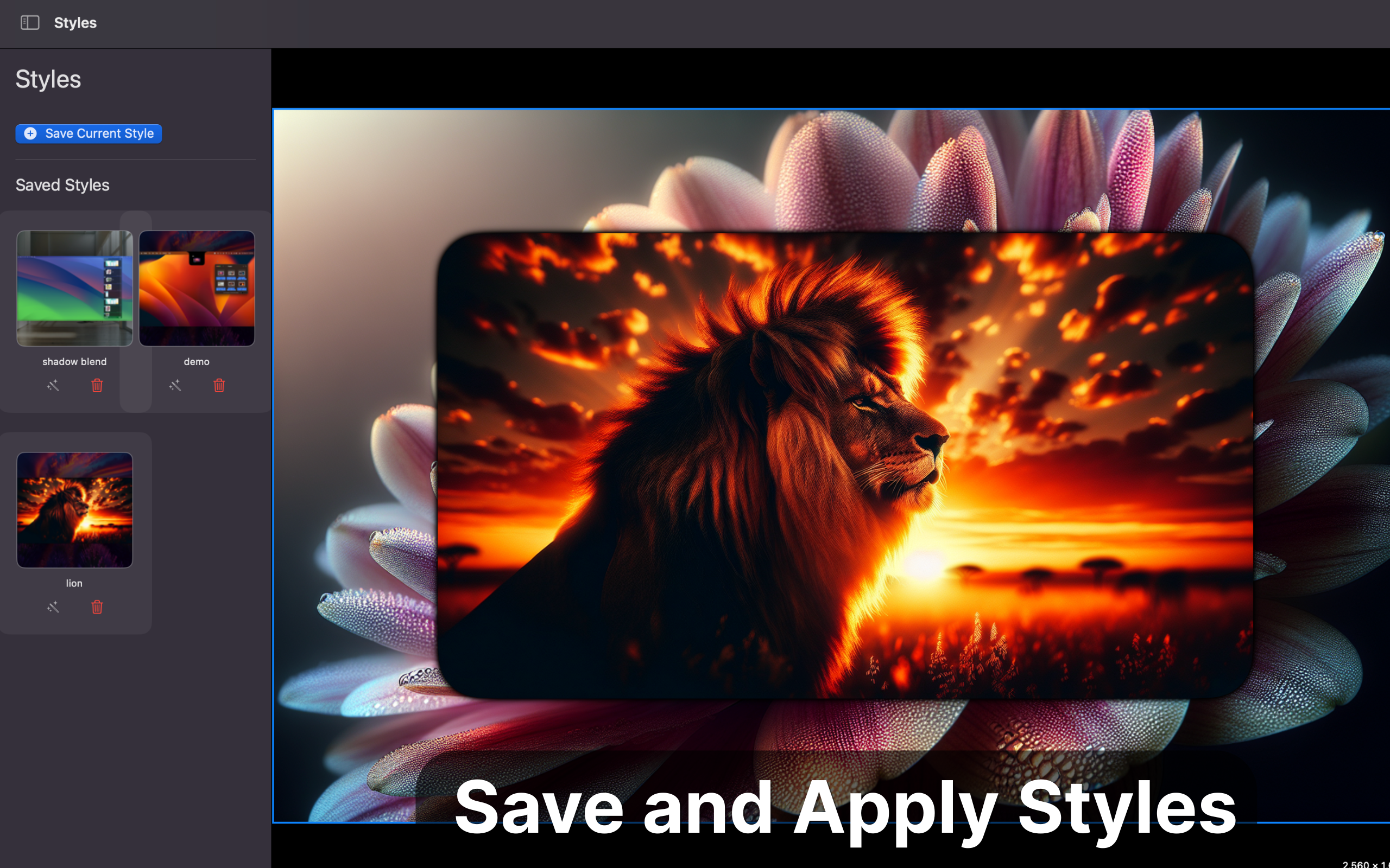 App Screenshot - Styles
